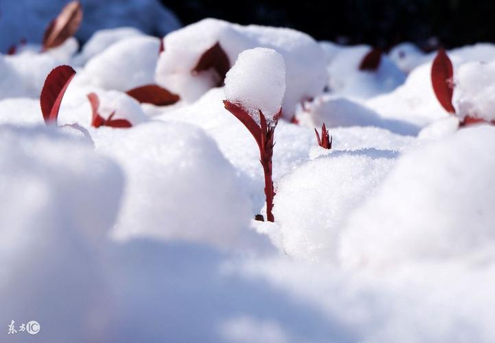 瑞雪兆丰年的好处_瑞雪兆丰年的好处是什么