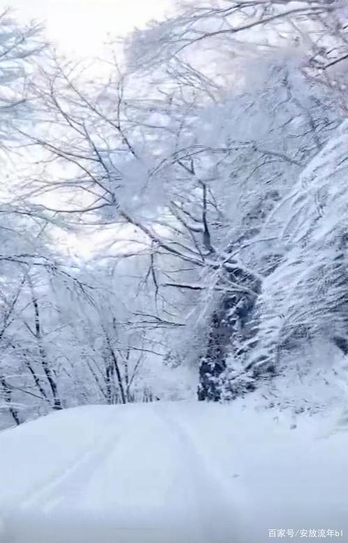 瑞雪兆丰年的好处_瑞雪兆丰年的好处是什么