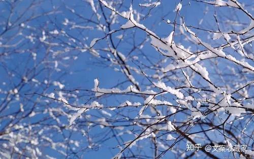 初雪的含义_初雪的含义是什么