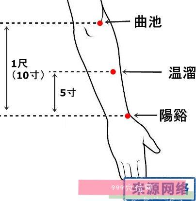 温留_温留学在手的哪个位置