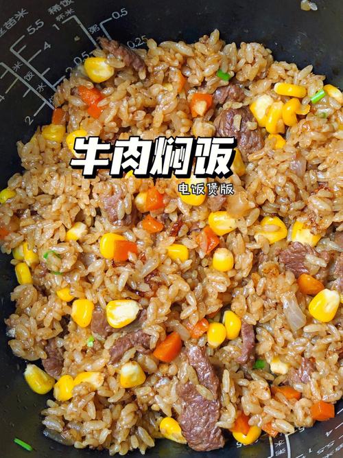 牛肉焖饭_牛肉焖饭怎么做好吃