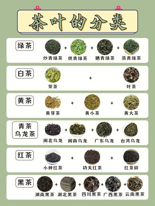 茶叶的种类_茶叶的种类和图片