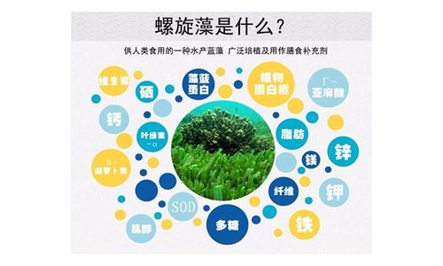 螺旋藻的功效与作用_螺旋藻的功效与作用及禁忌 有副作用吗?