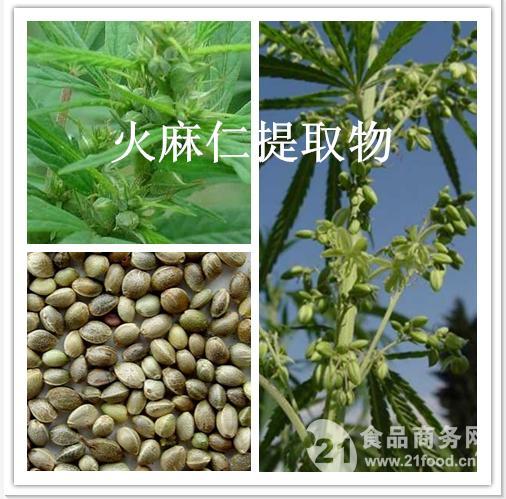 火麻仁的功效_火麻仁的功效与作用及食用方法和禁忌