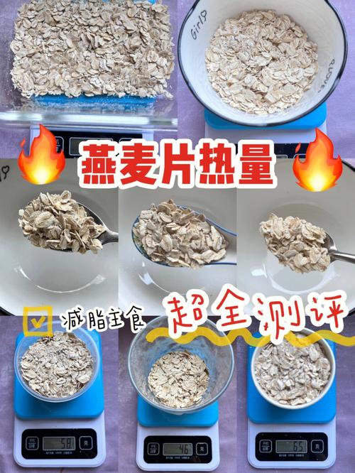 燕麦片的热量_100g燕麦片的热量