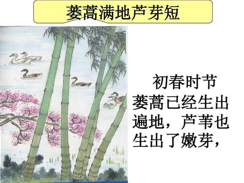 萎蒿满地芦芽短_萎蒿满地芦芽短萎蒿是什么意思