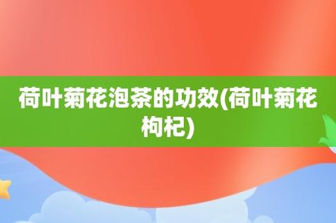 荷叶泡水喝的功效与作用_菊花荷叶泡水喝的功效与作用