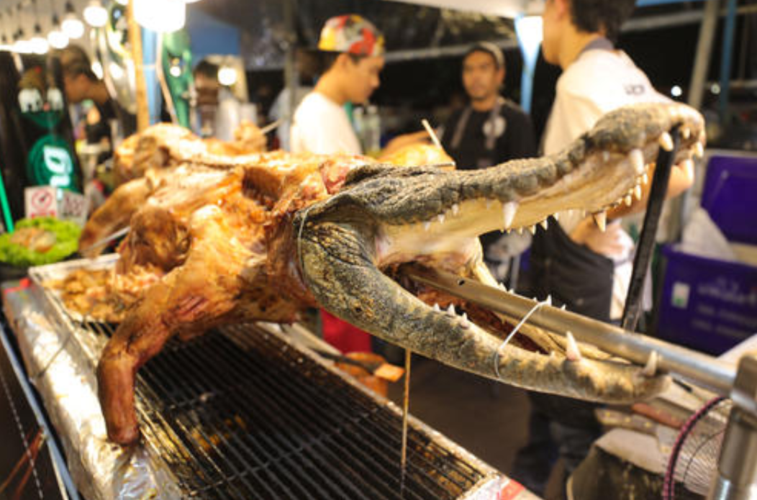 烤鳄鱼肉_烤鳄鱼肉口感怎么样