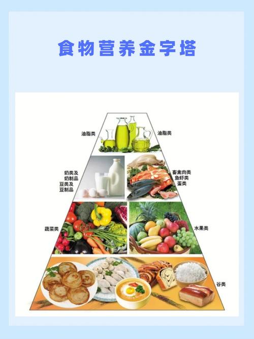 饮食结构金字塔_饮食结构金字塔图