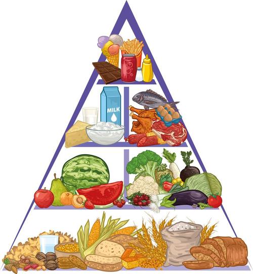 饮食结构金字塔_饮食结构金字塔图