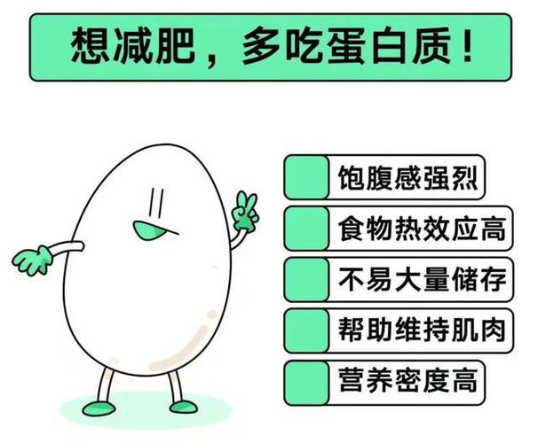 蛋白质减肥_蛋白质减肥知乎