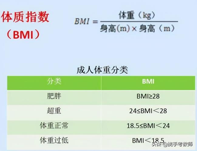 bmi是什么_bmi是什么意思