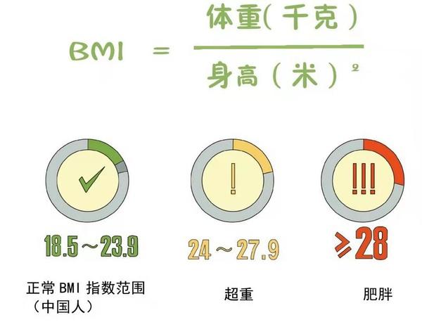 bmi是什么_bmi是什么意思