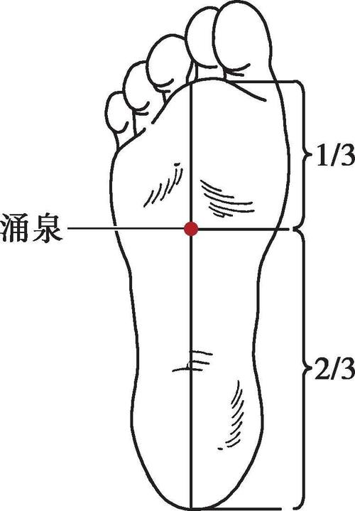 涌泉准确位置图片和作用_涌泉准确位置图和作用