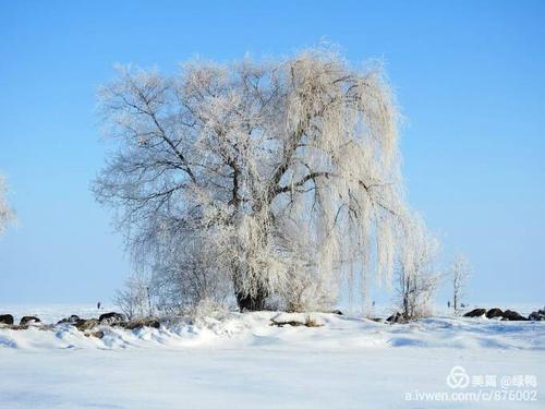 杨春白雪_杨春白雪指什么