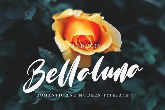 bellaluna_bellaluna是什么意思