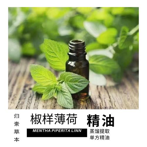 薄荷精油_薄荷精油可以直接涂抹吗