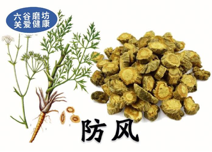 防风的功效与作用及食用方法_防风功效和作用及食用方法