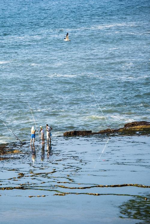 海边钓鱼_海边钓鱼的技巧和方法