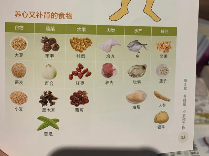 补肾食品_补肾食品排名