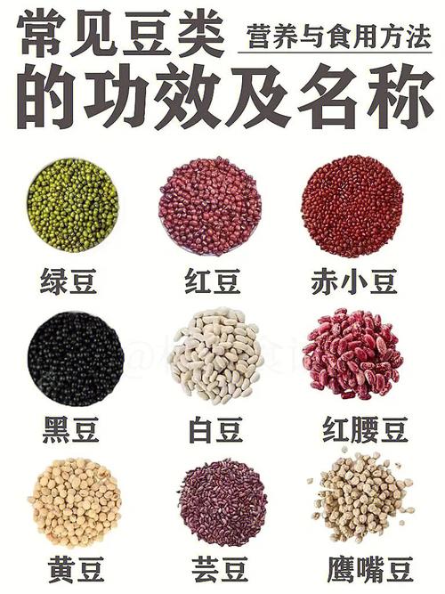 豆类食品_豆类食品的功效与作用