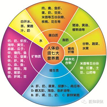 人体不可缺少的营养_人体不可缺少的营养物质含量是