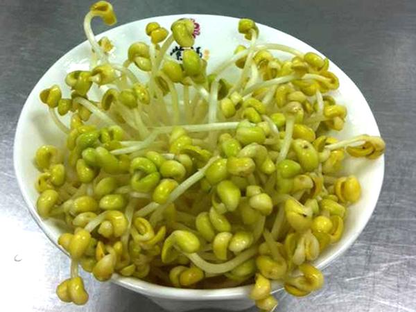 沈阳豆芽_沈阳豆芽销售