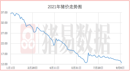 猪价行情分析预测_猪价行情分析预测价格涨跌10月23