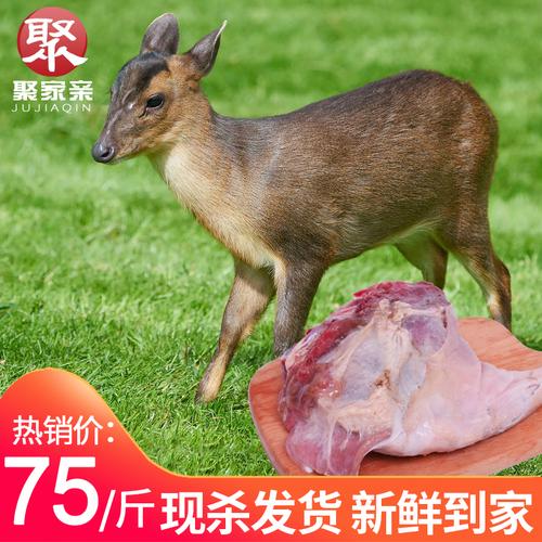 包含麂子肉的词条