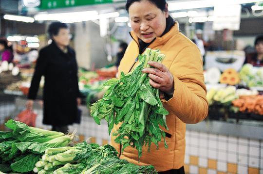 广州菜价涨上天_广州菜价涨上天了吗