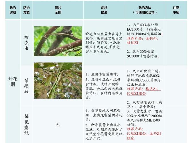 梨树病虫害防治_梨树病虫害防治全年用药表