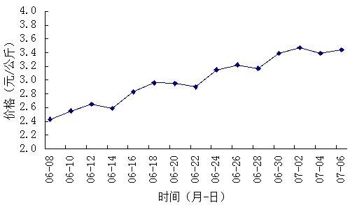 大葱价格走势_大葱价格走势图