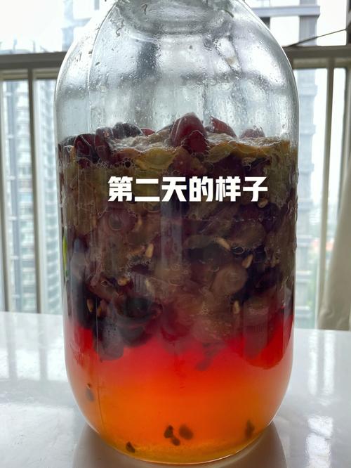 自制葡萄酒_自制葡萄酒有多少度