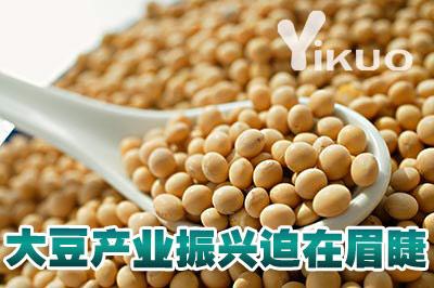 中国大豆网_中国大豆网官网