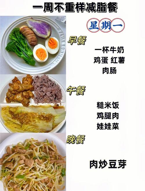 减肥营养菜谱_减肥营养餐食谱大全及做法