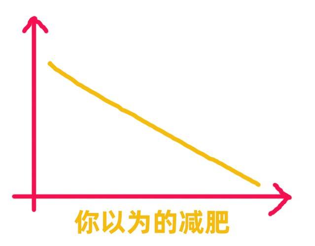 安全减肥_安全减肥的速度是每周体重降低不能超过一公斤