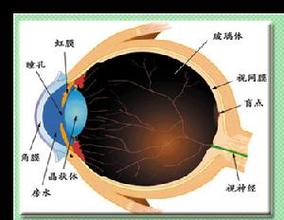 夜盲症缺什么_夜盲症缺什么?