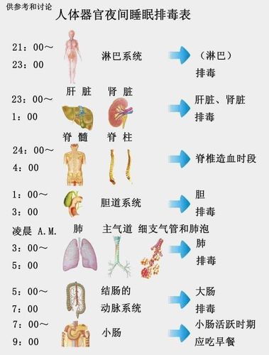 五脏排毒_五脏排毒呼吸法