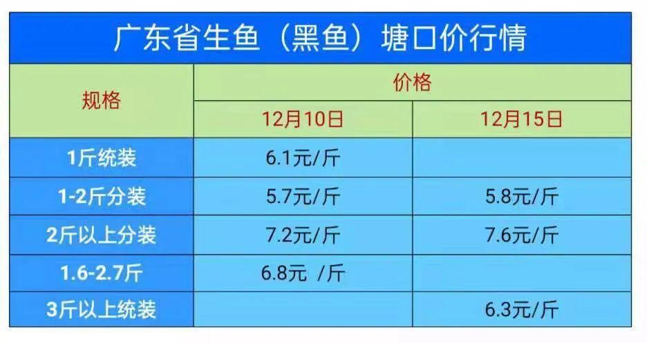 黑鱼价格_黑鱼价格2023年市场价