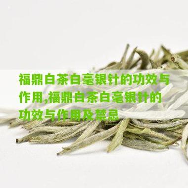 福鼎白茶_福鼎白茶的功效与作用