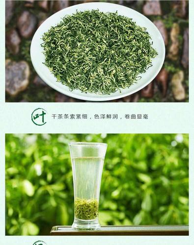 碧螺春是绿茶_碧螺春是绿茶吗还是红茶