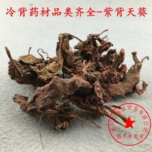 紫背天葵草_紫背天葵草中药