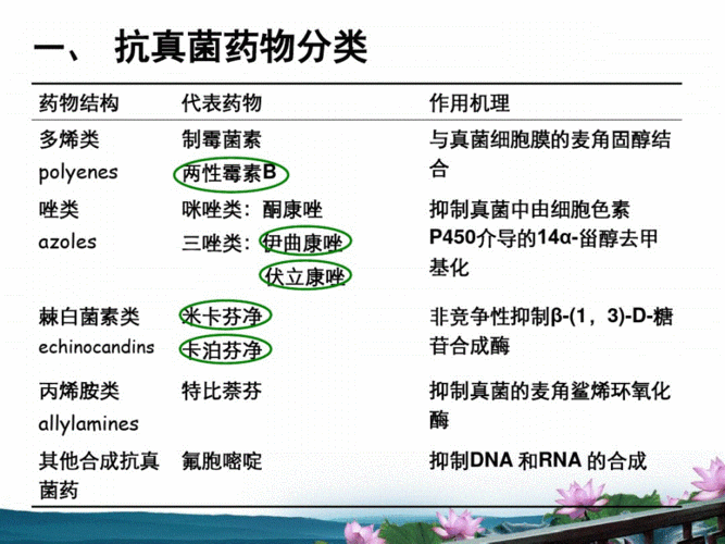 抗真菌药_抗真菌药物有哪几类药