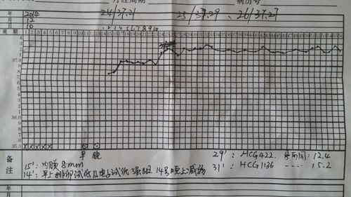 怀孕初期体温_怀孕初期体温一般在多少度