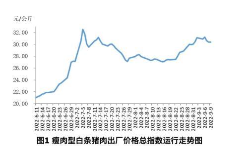 猪肉价格走势_猪肉价格走势图 十年