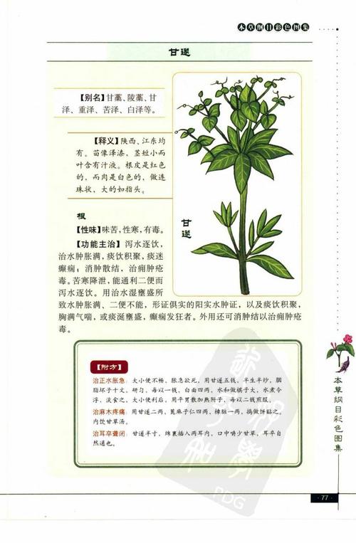 本草纲目中药图谱大全_本草纲目草药图