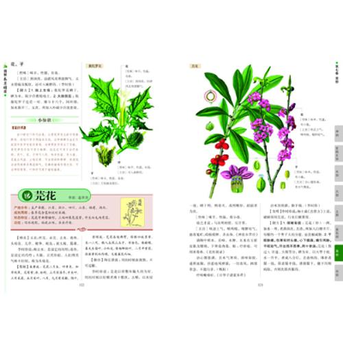 本草纲目中药图谱大全_本草纲目草药图