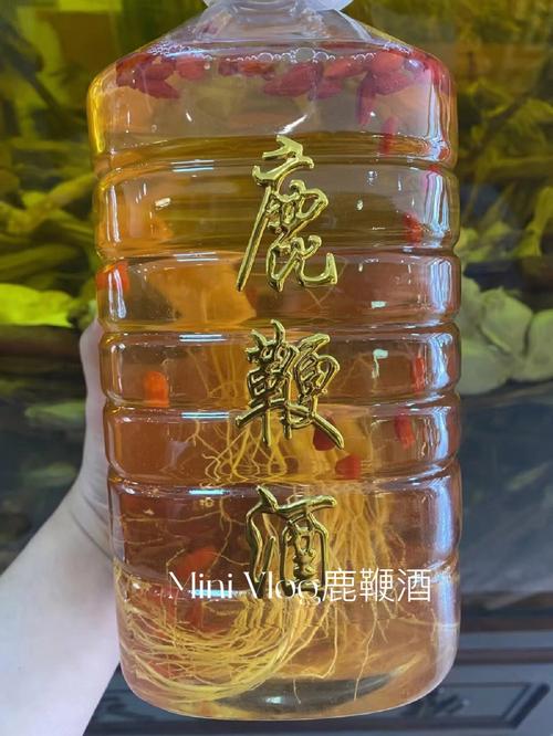 鹿鞭酒_鹿鞭酒可以提高性功能吗