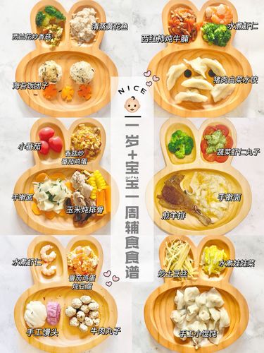 7个月宝宝辅食食谱_7个月宝宝辅食食谱一天吃几顿