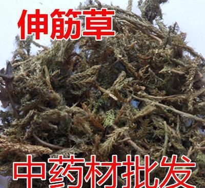 伸筋藤_伸筋藤的功效与作用和主治